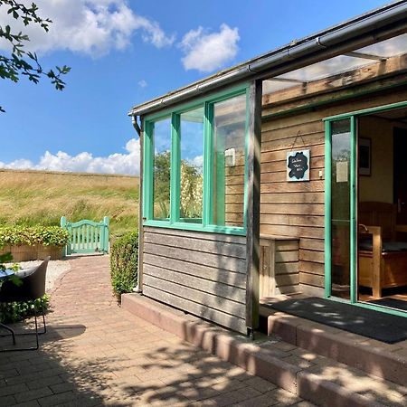 4 Pers Holiday Home Hilla With Winter Garden In Front Of The Dike Directly On The Lauwersmeer Anjum 外观 照片