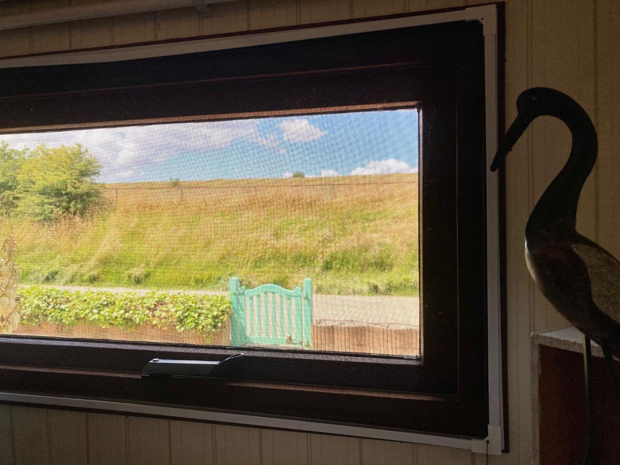 4 Pers Holiday Home Hilla With Winter Garden In Front Of The Dike Directly On The Lauwersmeer Anjum 外观 照片